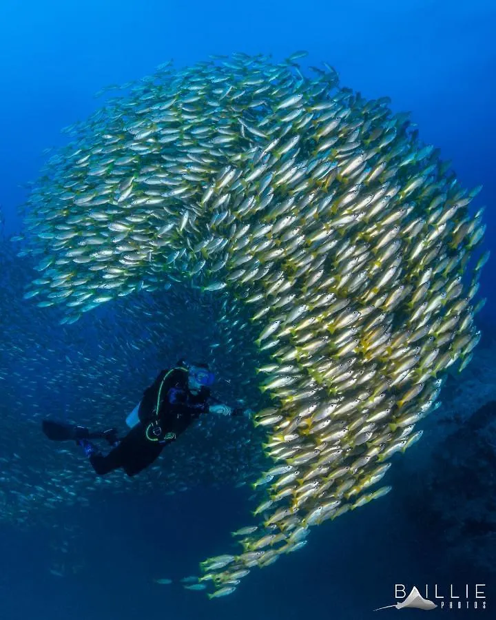 ** Hotell Hydronauts Diving Resort - Koh Tao Thailand