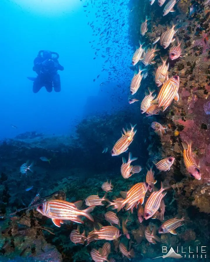 Hydronauts Diving Resort - Koh Tao